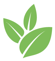 Strive Hedge Trimming Service