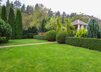 Promote Healthy Growth of Your Hedges with Regular Trimming!