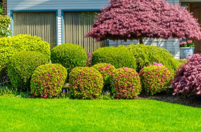 Improve the Appearance of Your Landscaping!