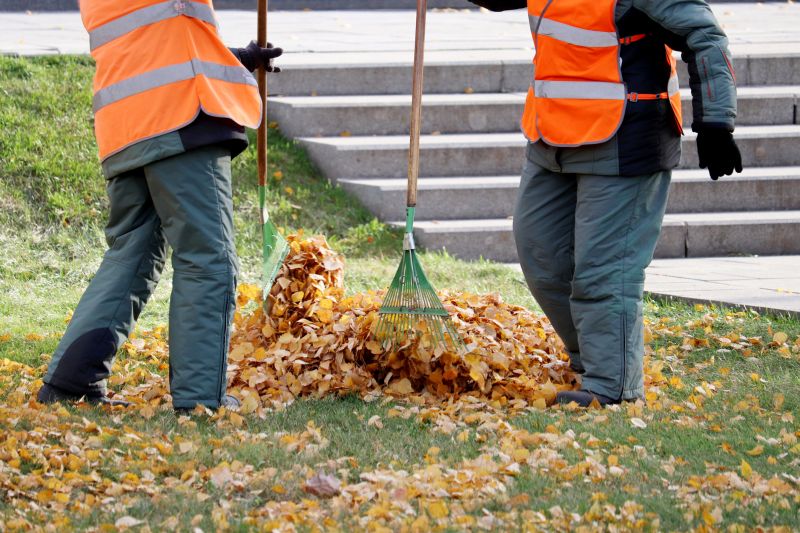 Fall Leaf Removal
