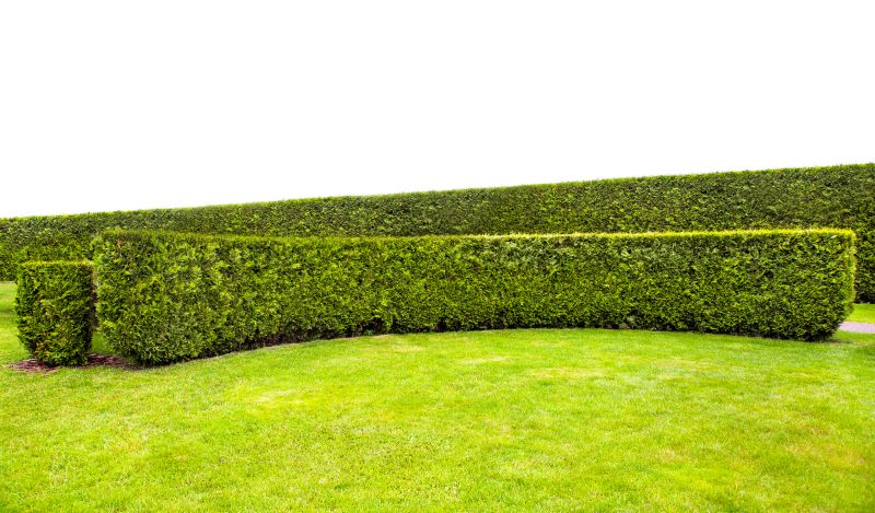 Hedge Density and Complexity