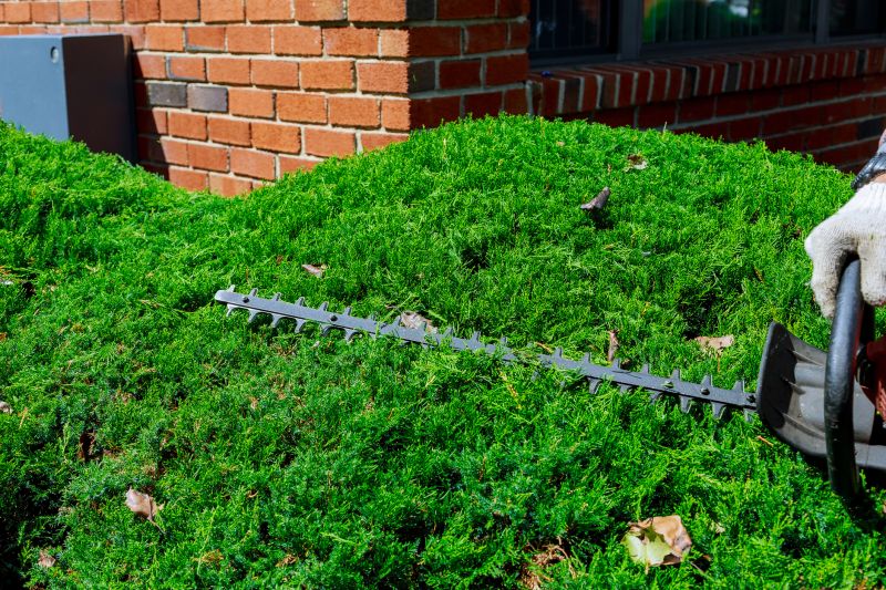 Hedge Trimming Cost Guide — Cost of Hedge Trimming Service
