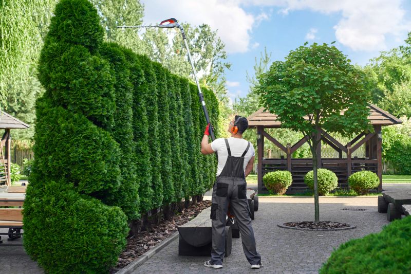 Hedge Trimming Cost Guide — Cost of Hedge Trimming Service