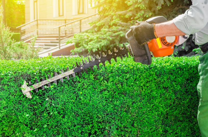 Hedge Trimming Cost Guide — Cost of Hedge Trimming Service