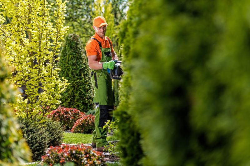 Hedge Trimming Service