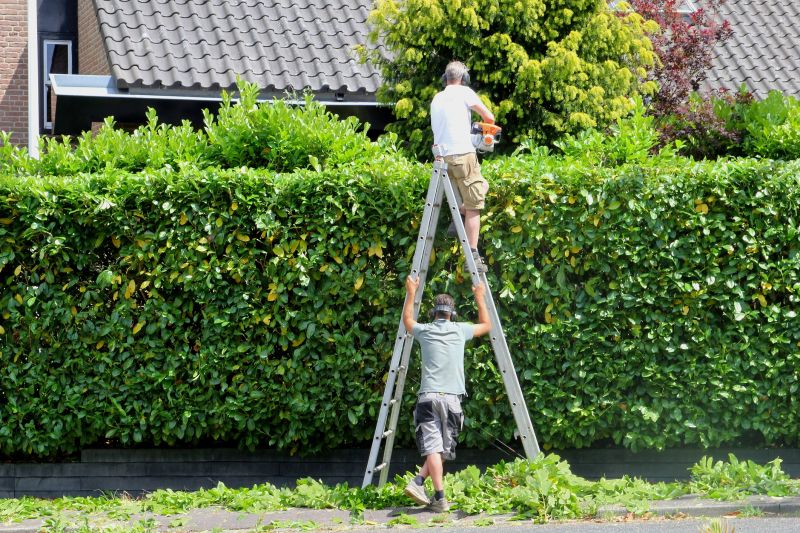Hedge Trimming Service