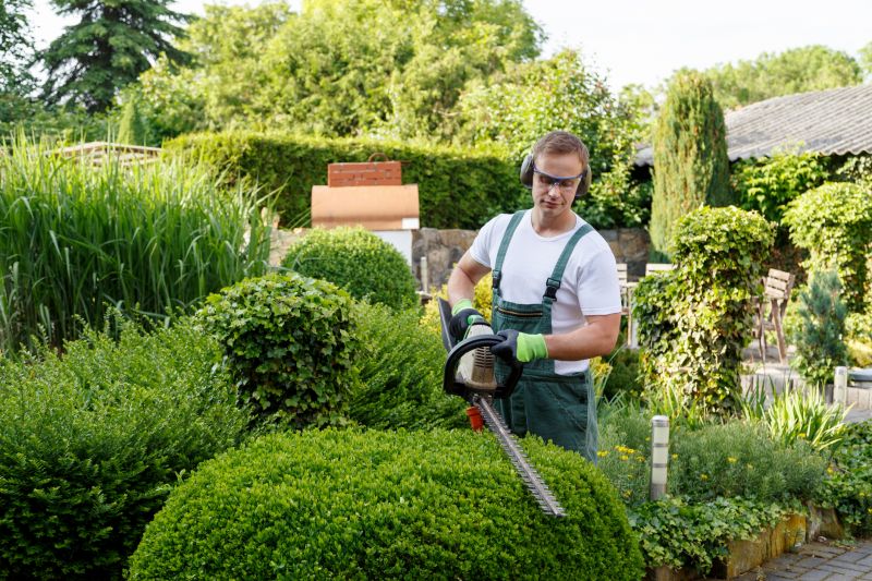 Hedge Trimming Service