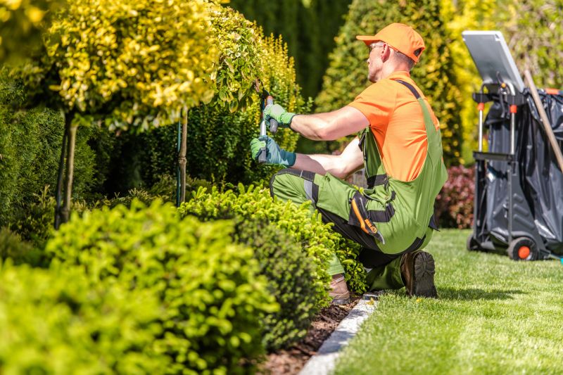Products For Hedge Trimming Service in use