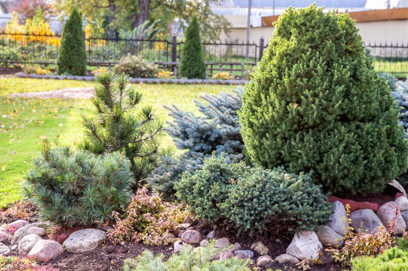 Trimmed Evergreen