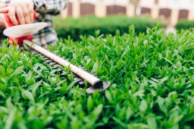 Keep Your Garden Looking Great!